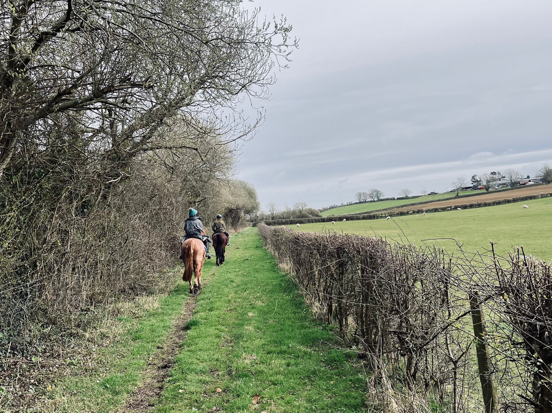 Anglesey Riding Centre景点图片
