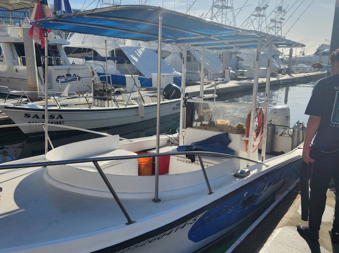 Cabo Deep Blue-卡波圣卢卡斯必去景点