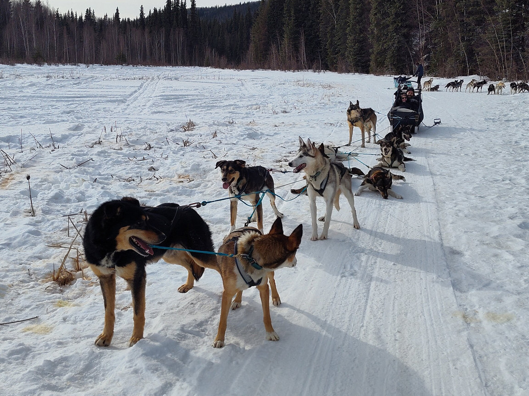 Last Frontier Mushing Co-op-费尔班克斯必去景点