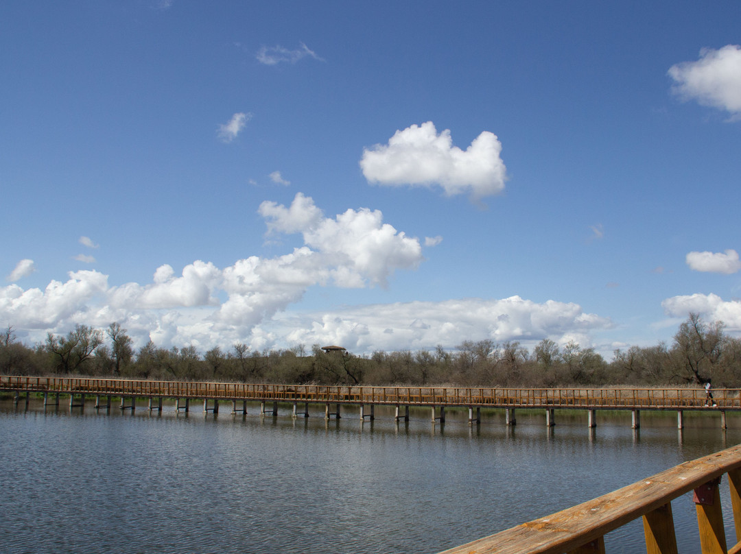 Parque Nacional de las Tablas de Daimiel景点图片