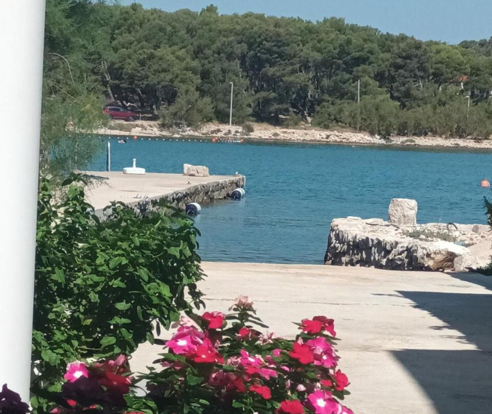Volat Apartments