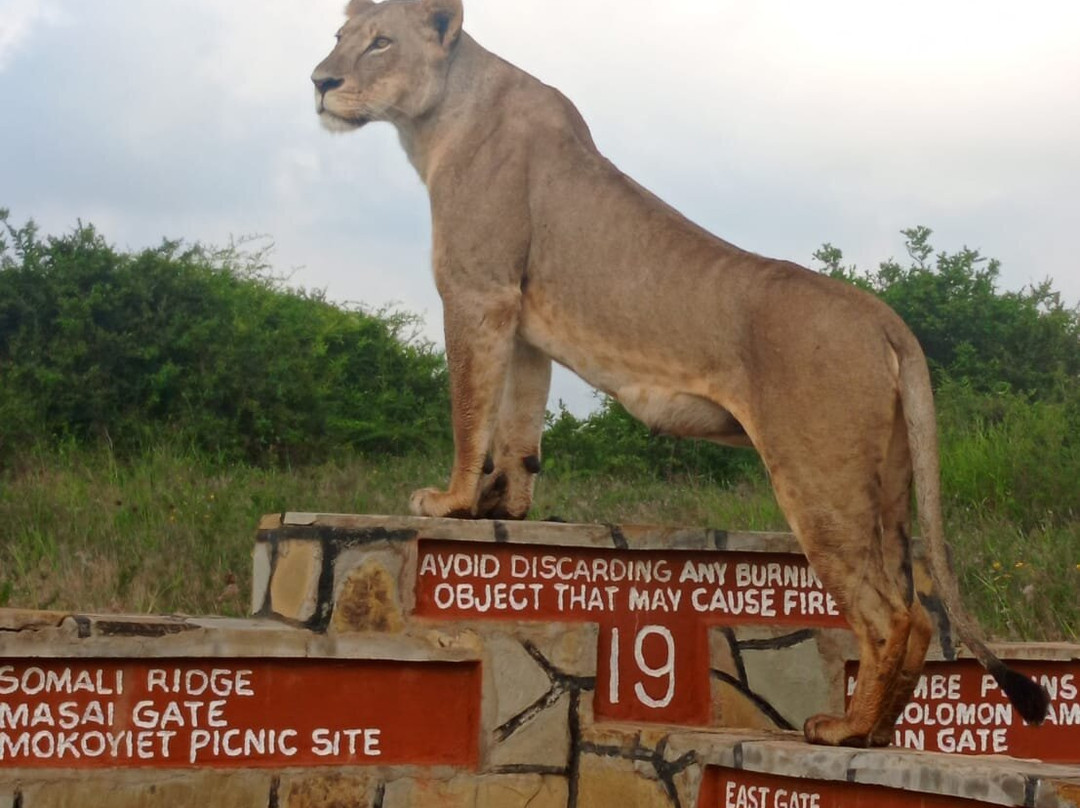 Africompass travel-内罗毕必去景点