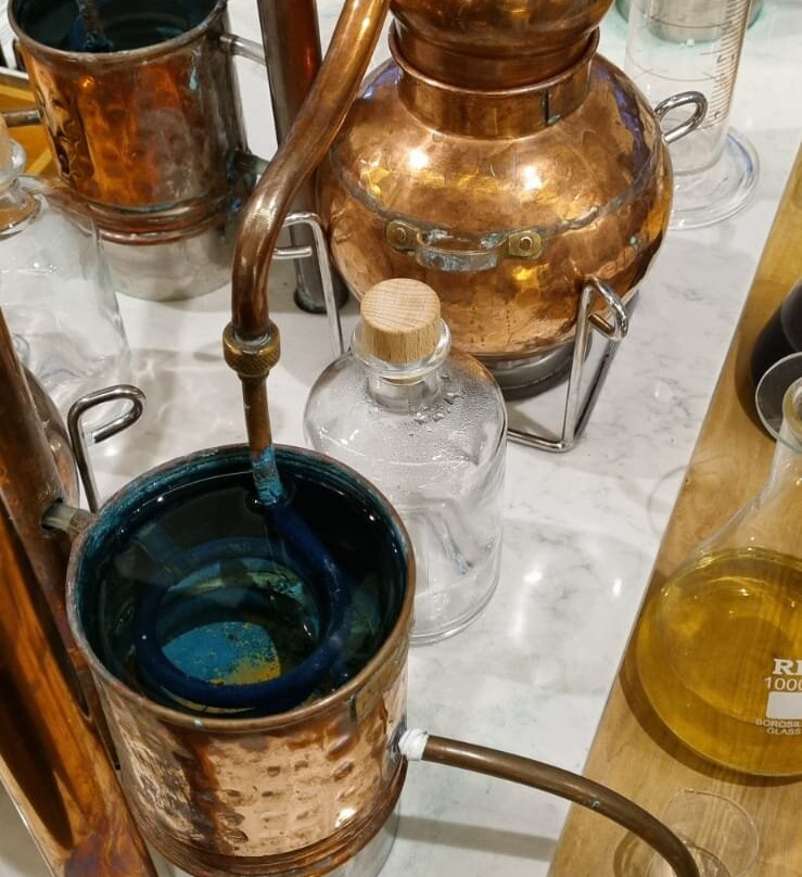 Cape Saint Blaize Distillery-莫塞尔贝必去景点