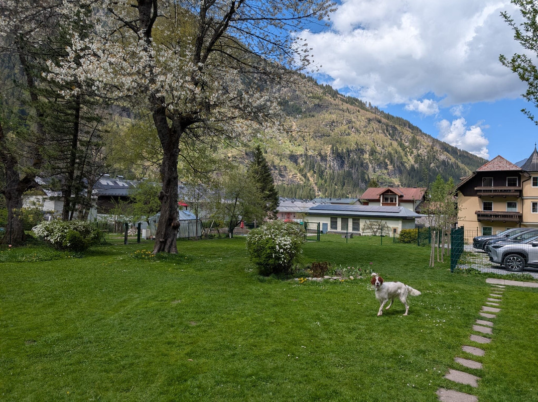 Grubers Hotel Apartments Gastein主图