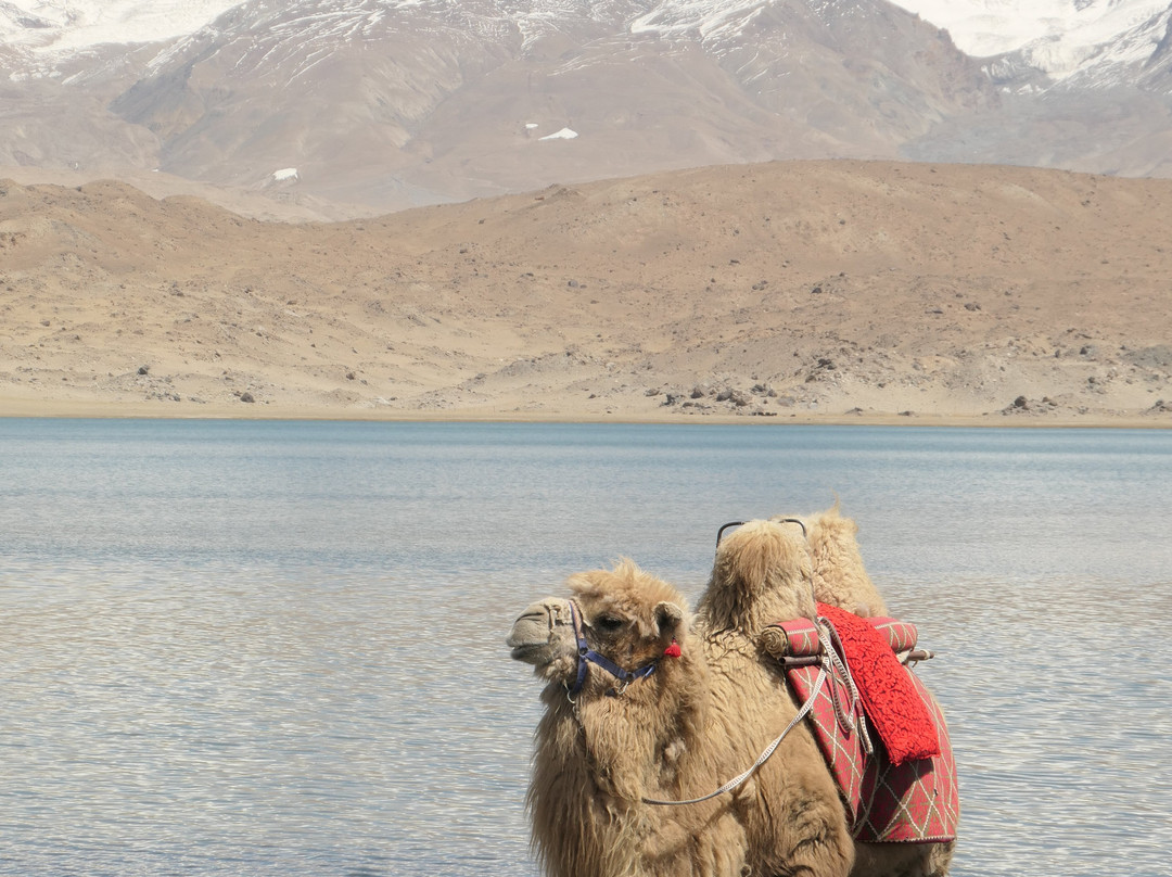 Kashgar Offbeat Tours景点图片