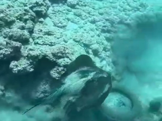 Big Fish Dive Center-Faliraki必去景点