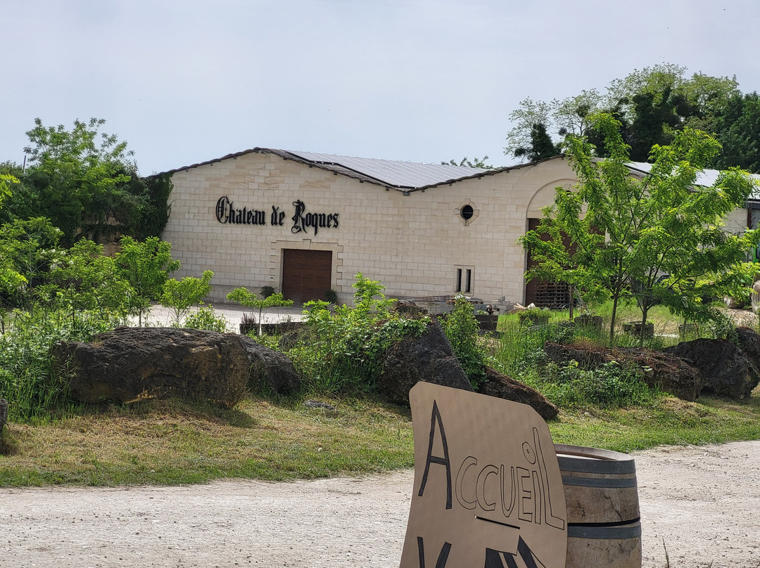 Château de Roques景点图片