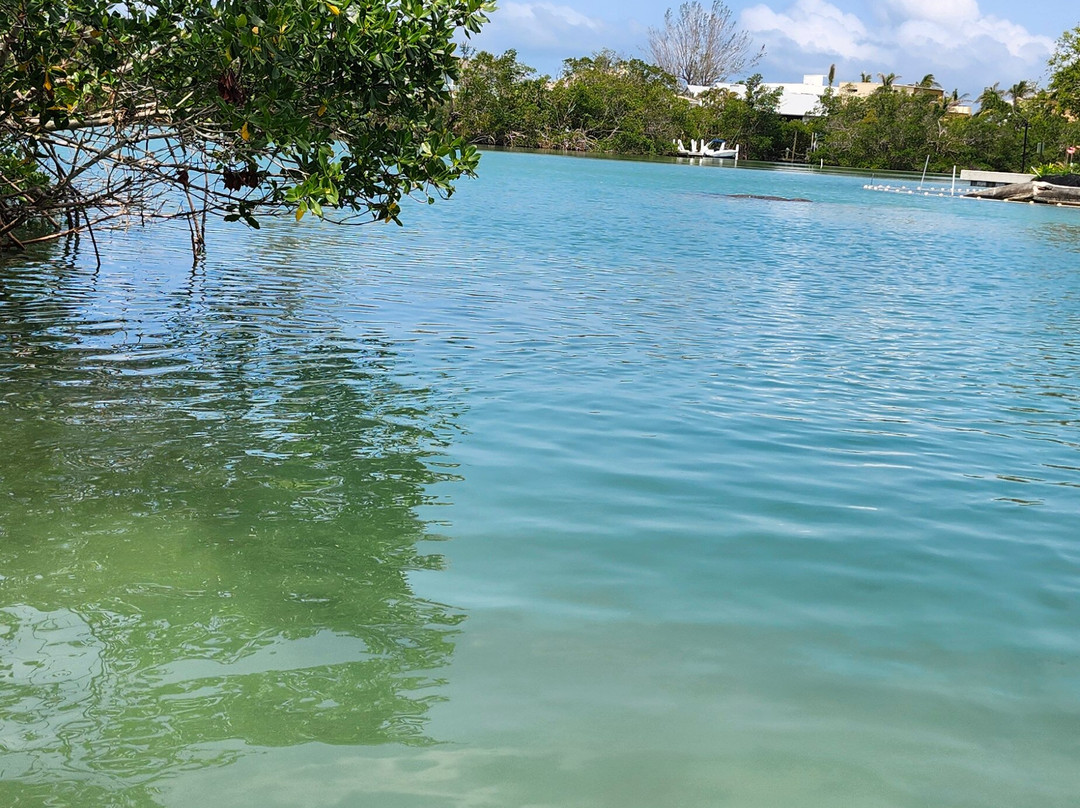 SURFit USA-Lido Key必去景点