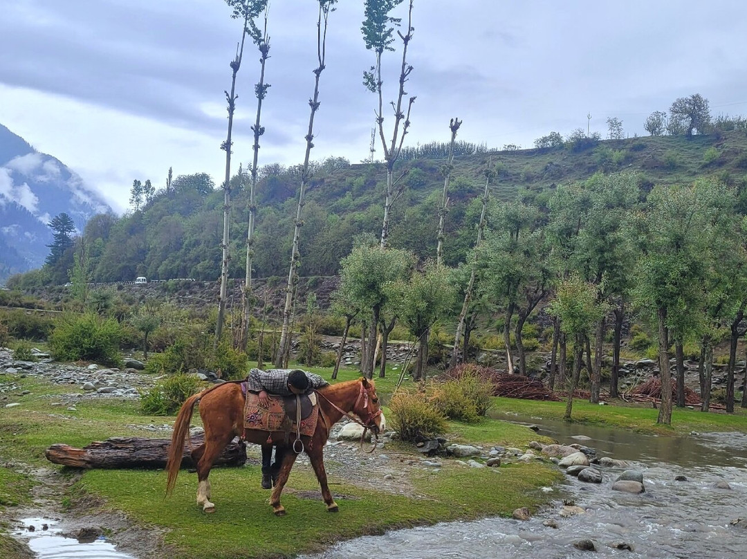 Betaab Valley景点图片
