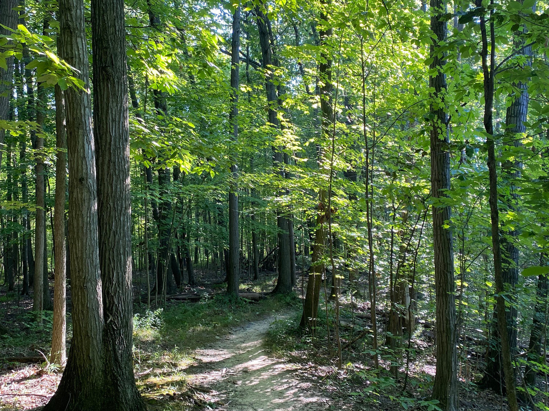 Mill Stream Run Reservation-克利夫兰必去景点