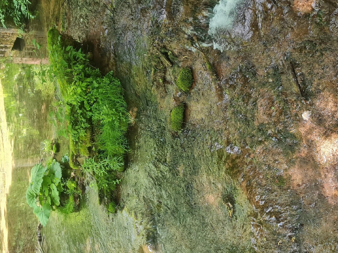 Grza Vrelo-Paracin必去景点