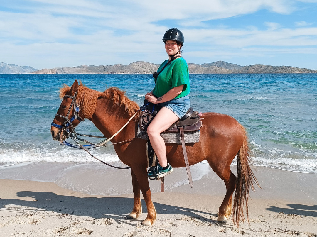 Horse Riding Family Farm-Kos Town必去景点
