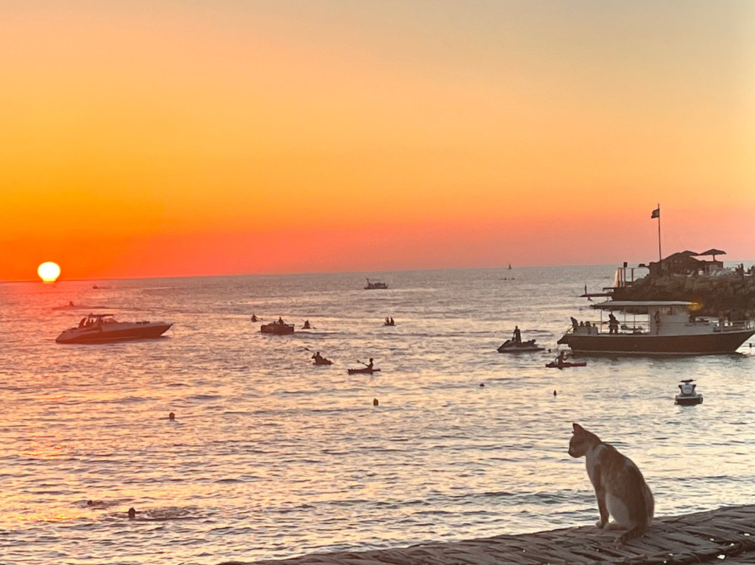 Blubay Batroun-Batroun必去景点