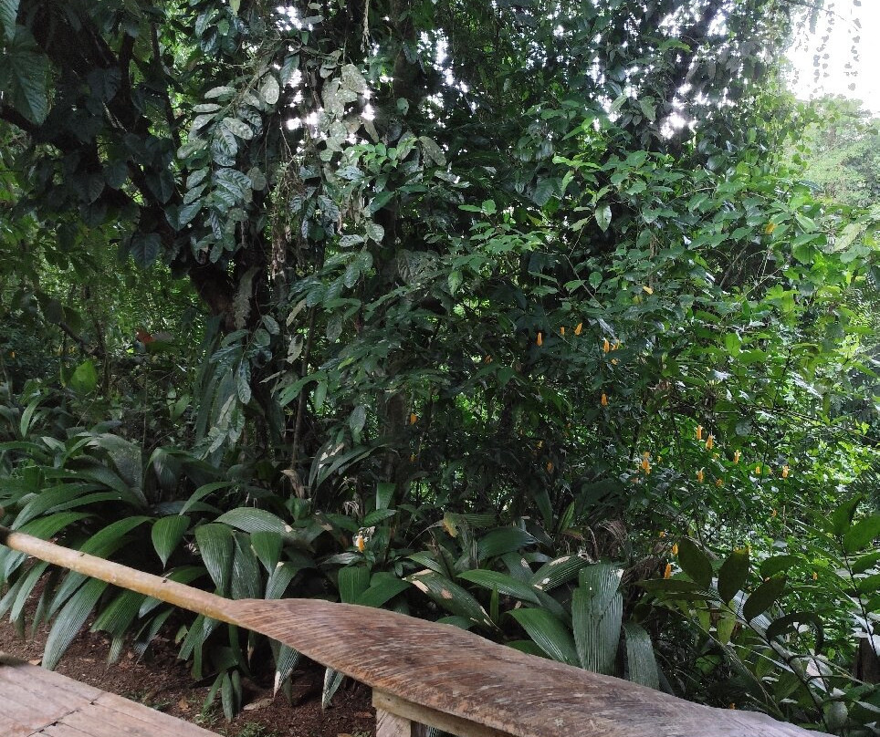 Casa Rio Blanco Eco Friendly B&B主图