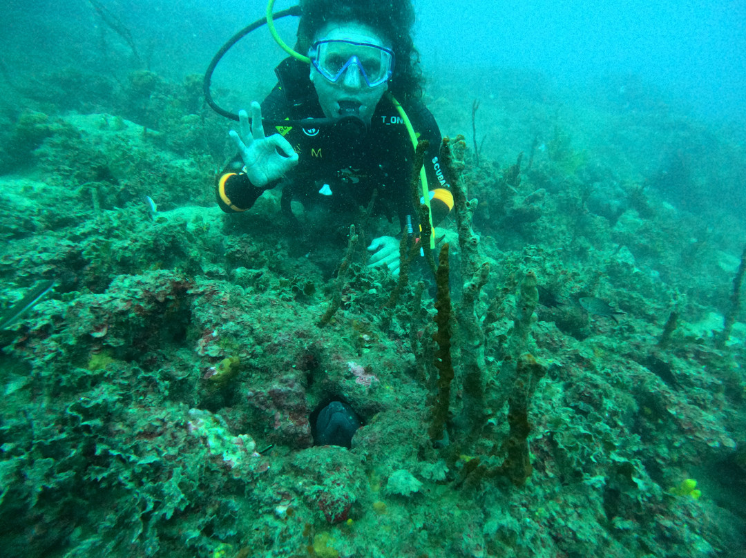 Prodivers Ayvalik-Ayvalik必去景点