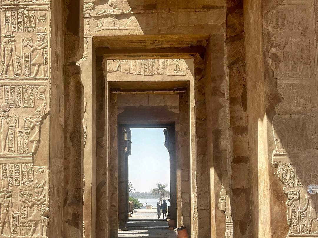 Blue Lotus-卢克索必去景点