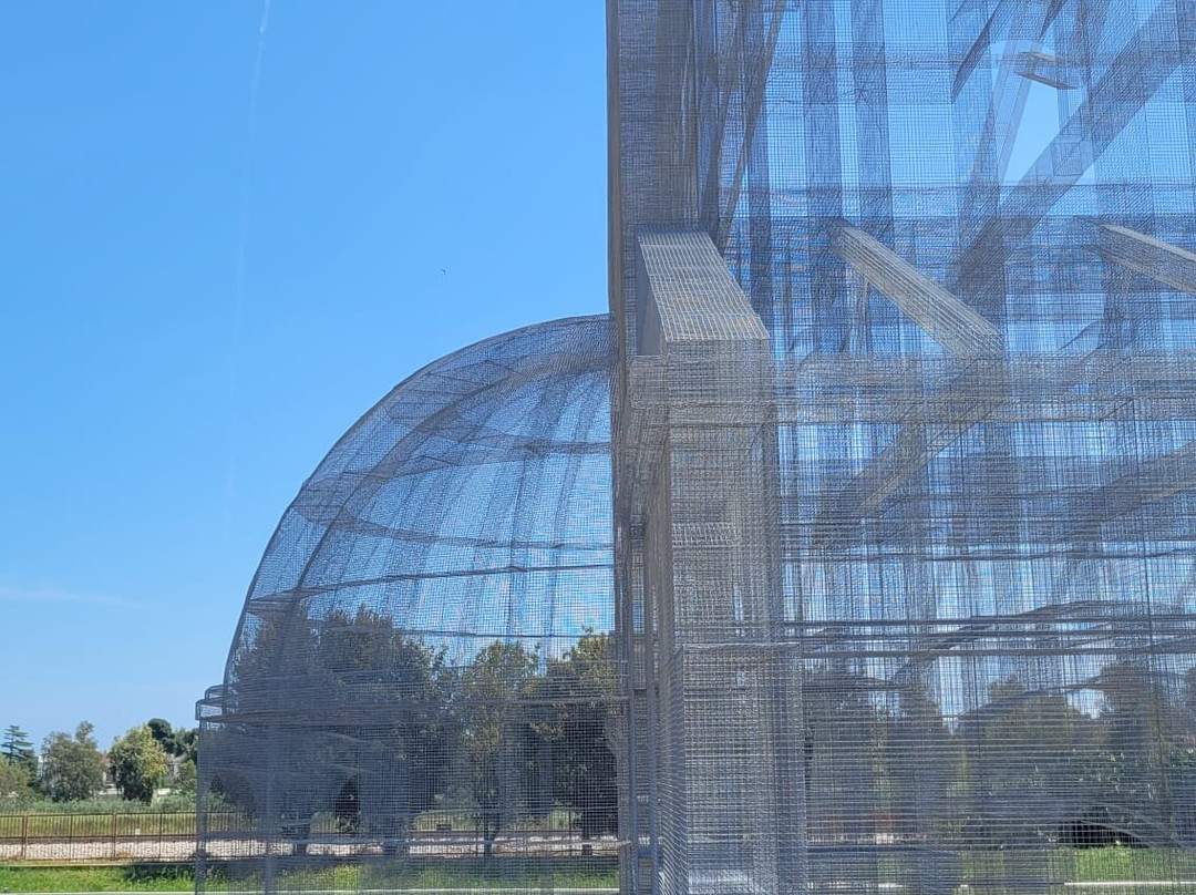 Parco Archeologico di Siponto景点图片