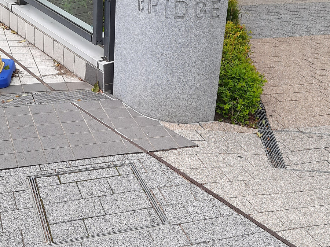 Toyosu Park-Toyosu必去景点