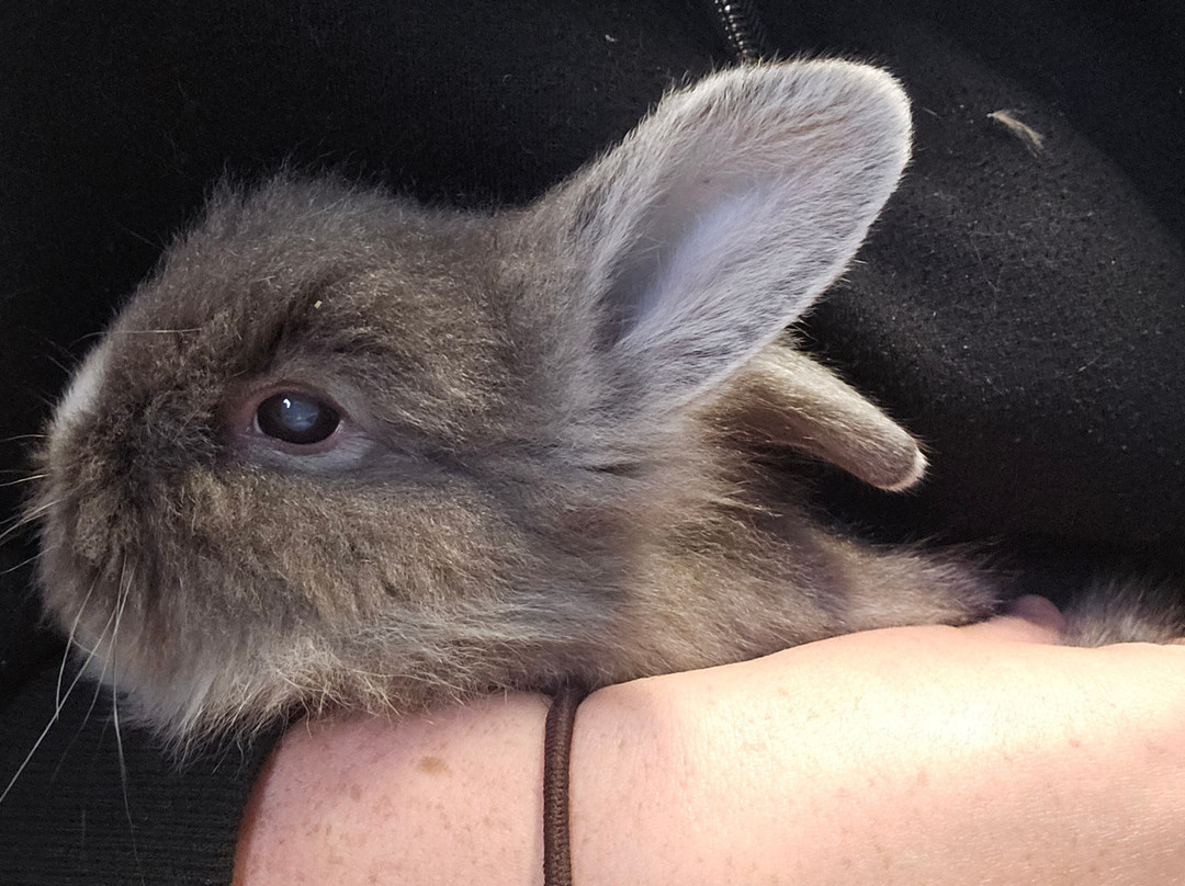 Farm Ventures-Roberts Creek必去景点