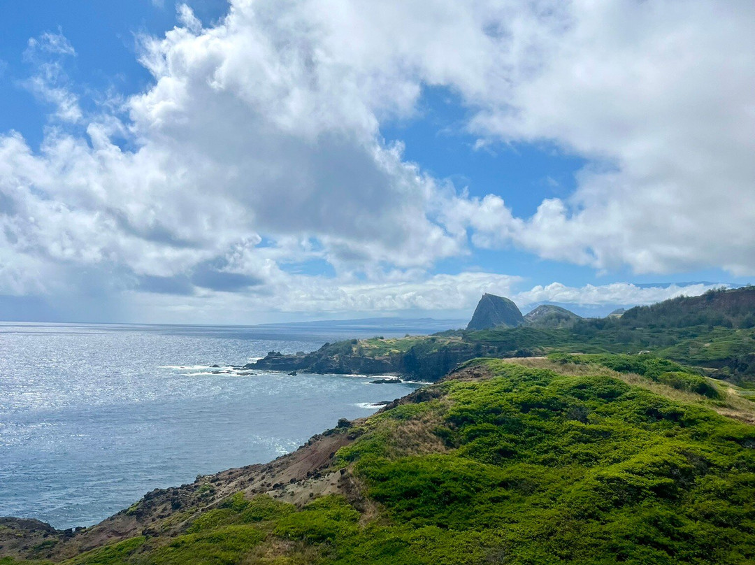 Ohai Loop Trail and Overlook景点图片