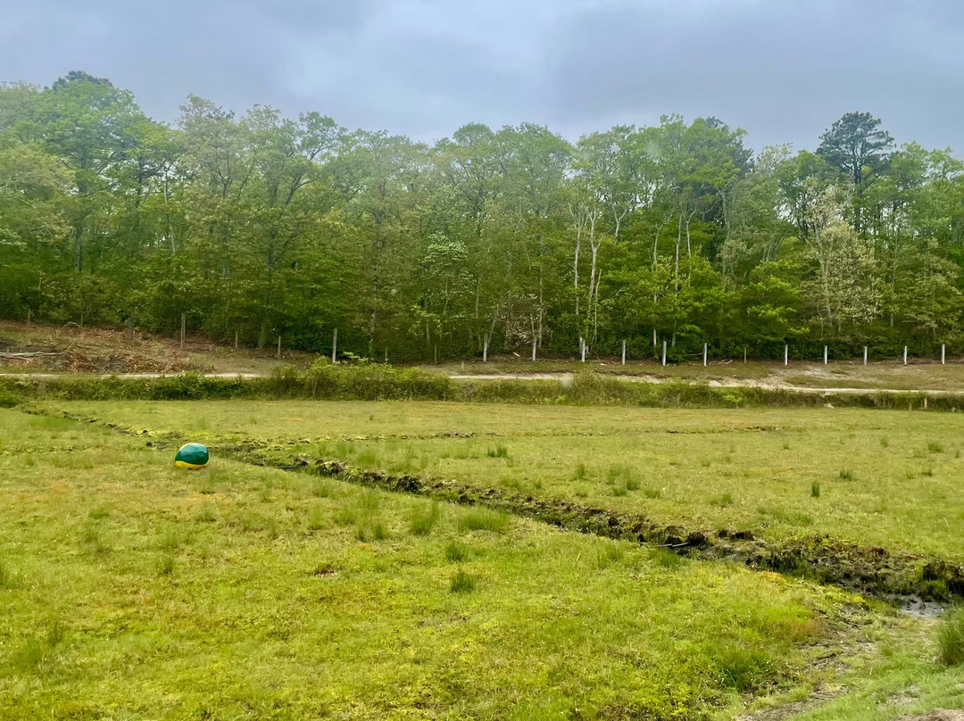 Cranberry Bog Tours-Harwich必去景点