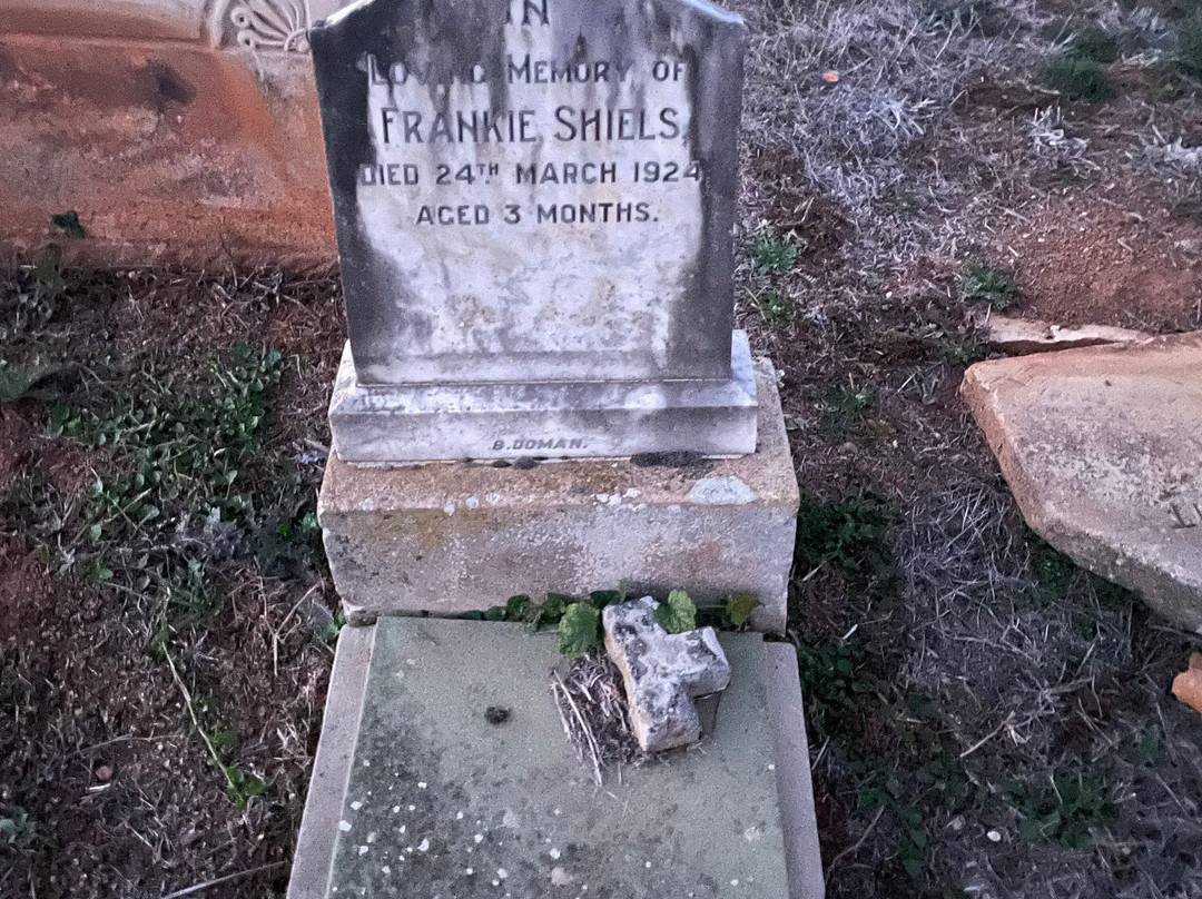 Yass Cemetery-亚斯必去景点