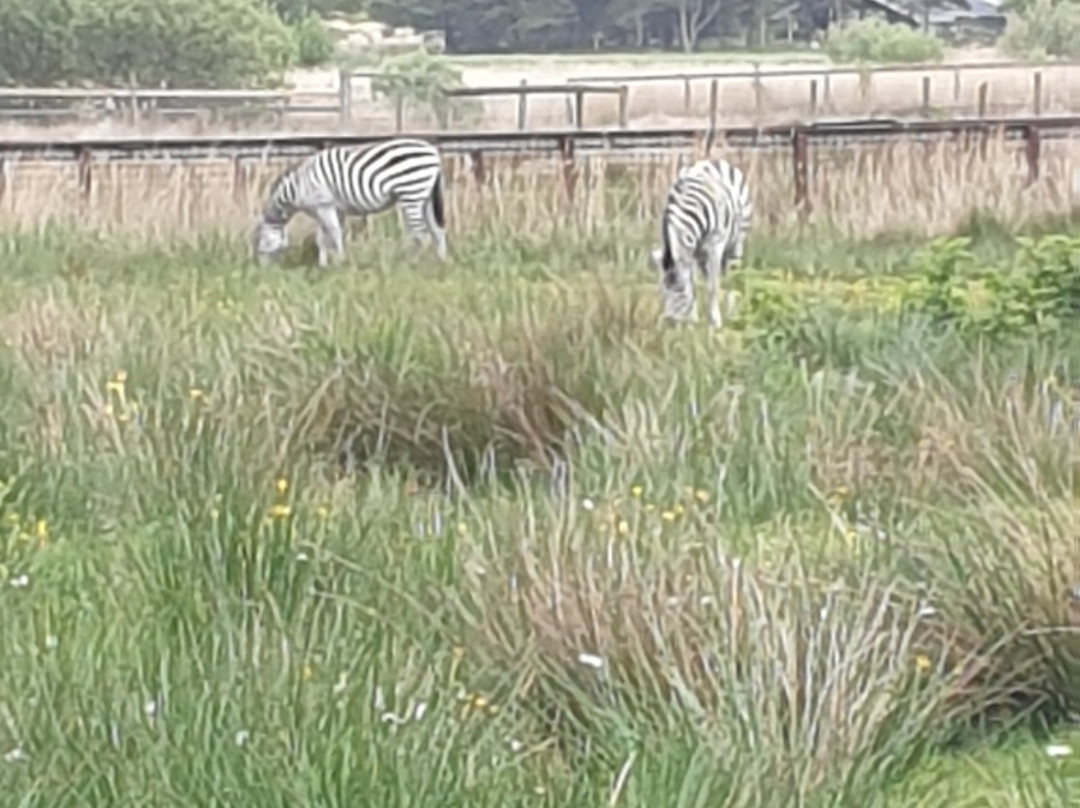 Blåvand Zoo-Blaavand必去景点