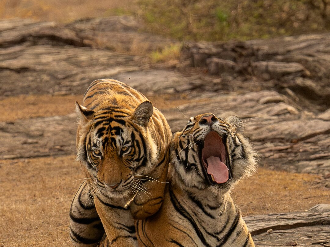 Sudhir Shivaram Photography-班加罗尔必去景点