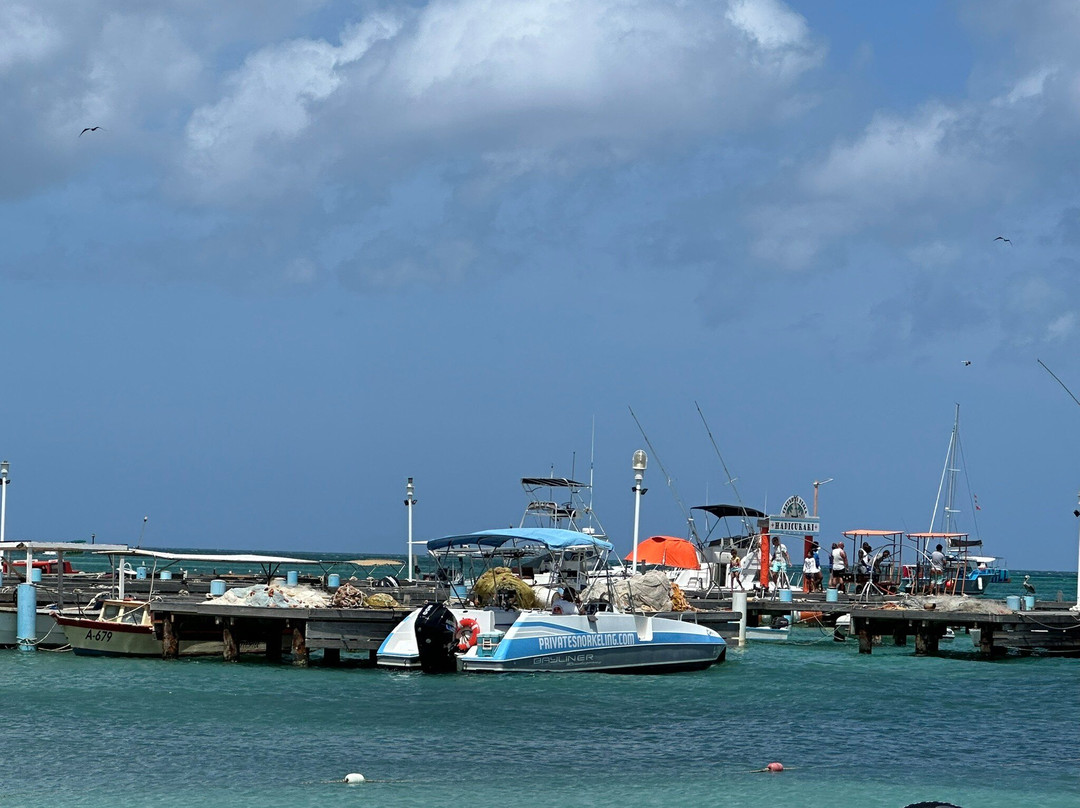 Private Snorkeling Aruba-棕榈/鹰海滩必去景点