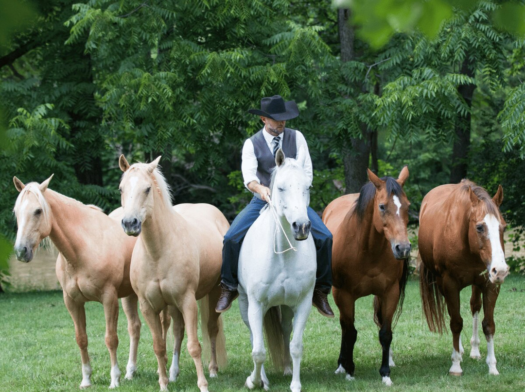 Double Dan Horsemanship-Midway必去景点