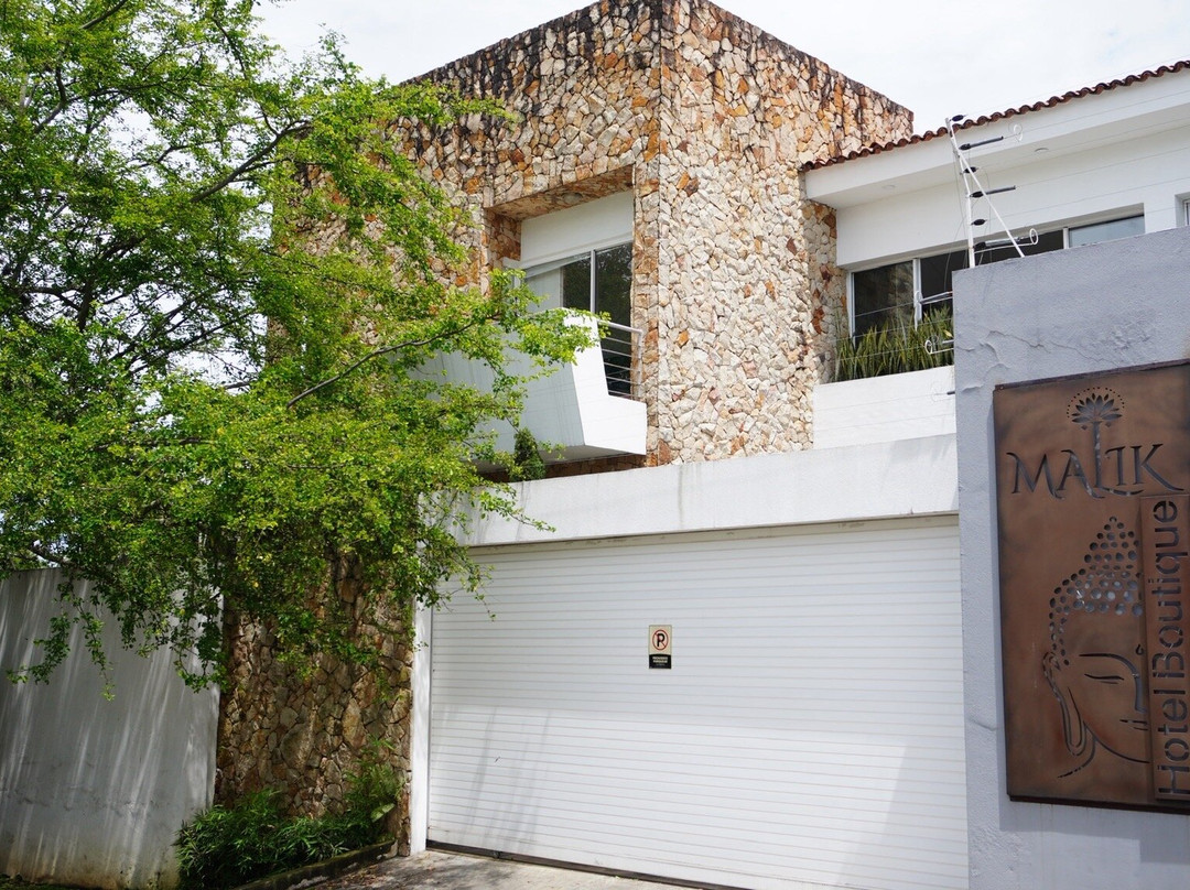 Malik Hotel Boutique主图