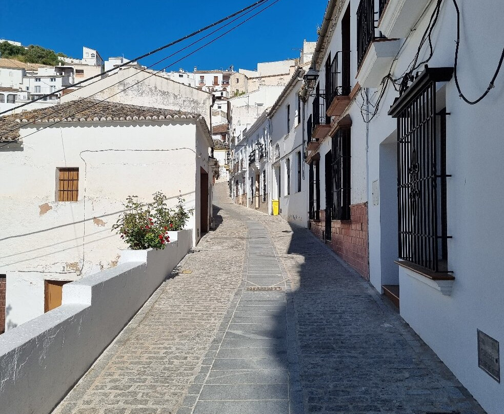 Calle Cueva Del Sol-Setenil de las Bodegas必去景点