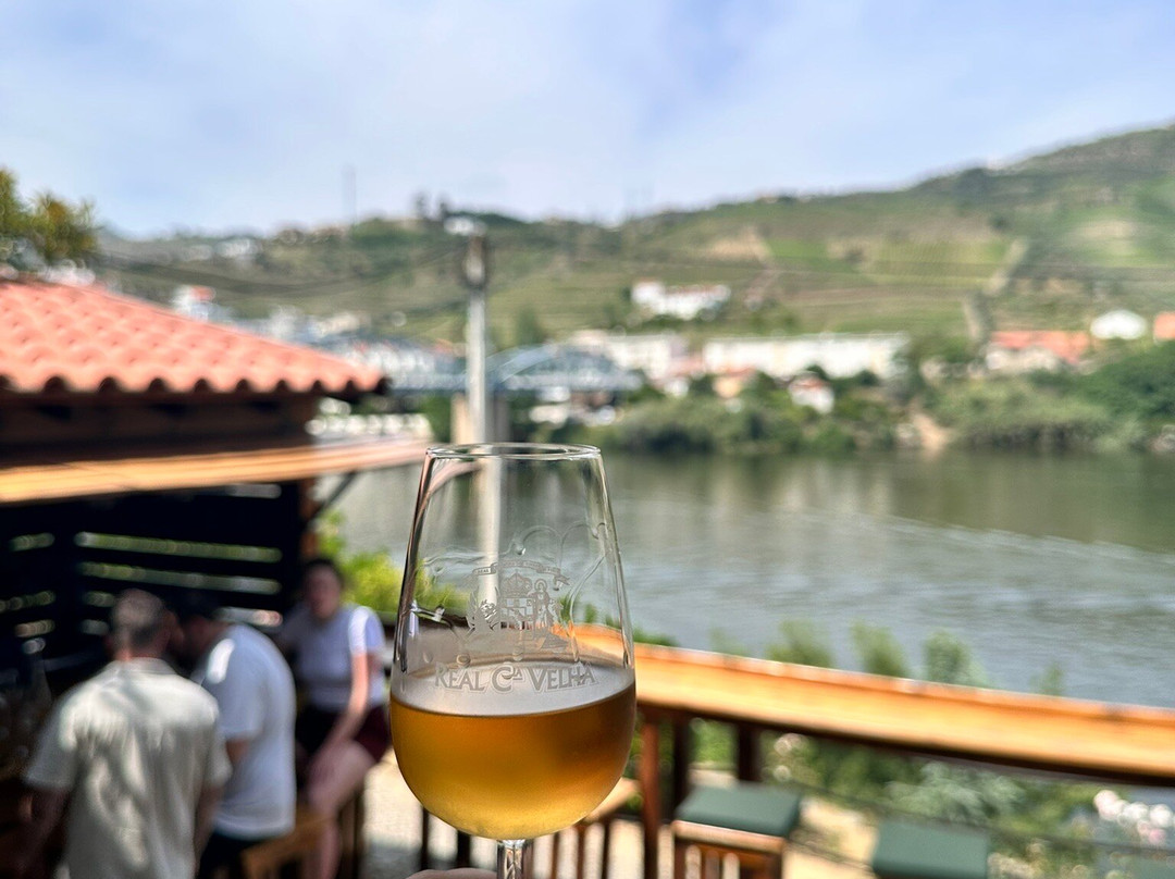 Quinta das Carvalhas景点图片