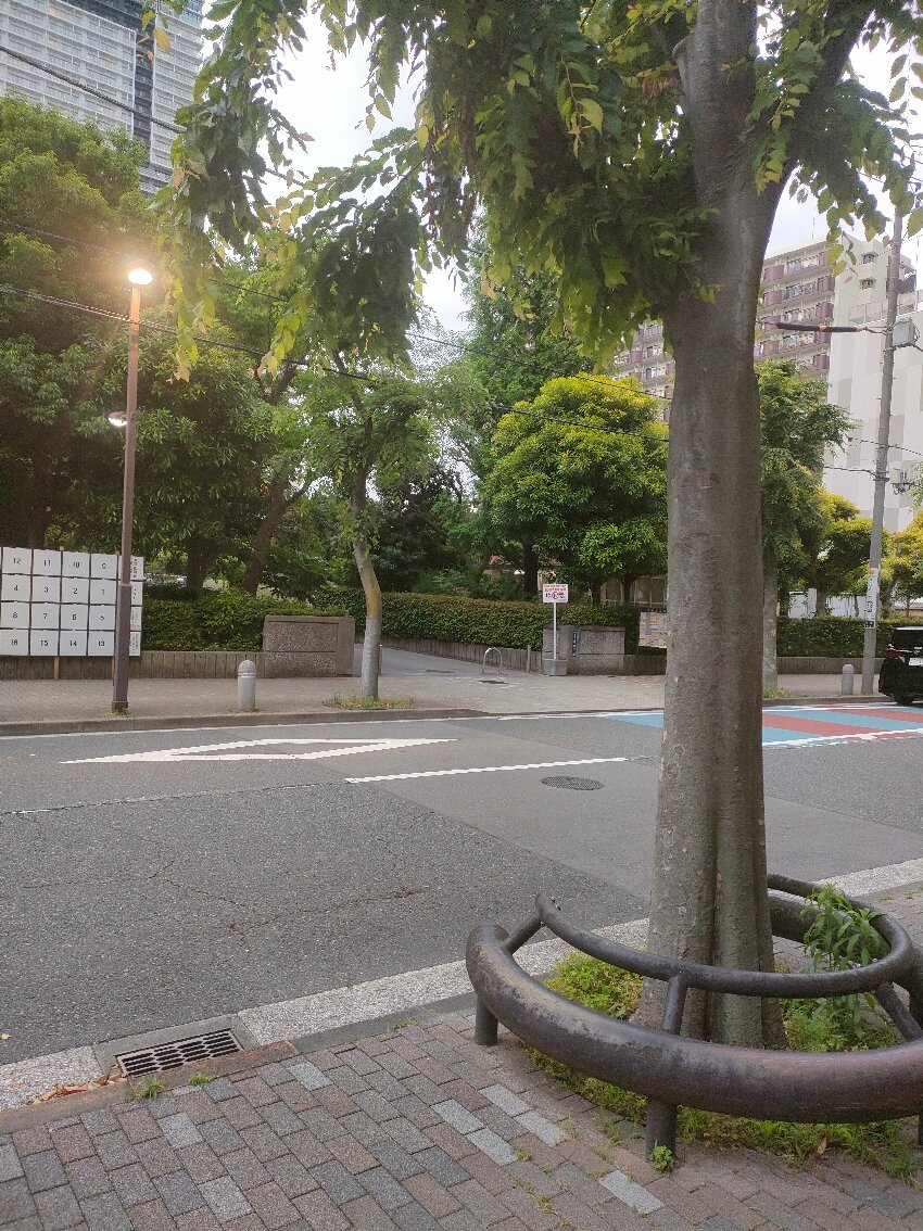 Hotel Livemax Toyosu-Ekimae-官方