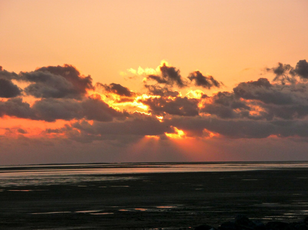 Plage Le Crotoy景点图片