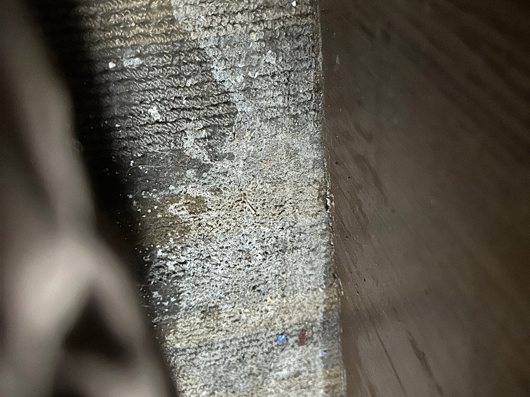 New Victorian Suites主图