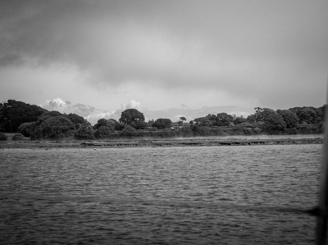 Puffin Cruises Lymington景点图片