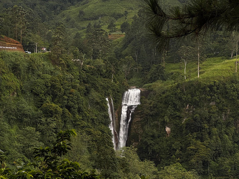 Ceylon Tap & Tours-奴娃拉伊利雅必去景点