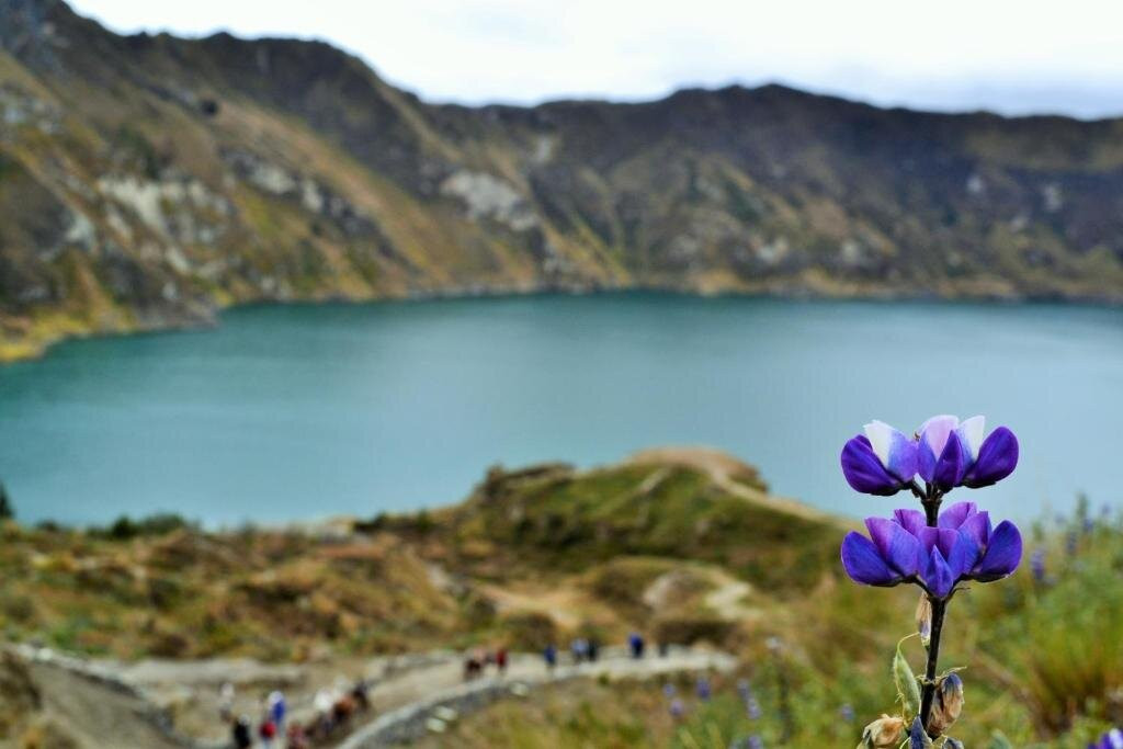 Hotel Princesa Toa主图