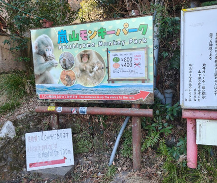 Novaland Tours-首尔必去景点