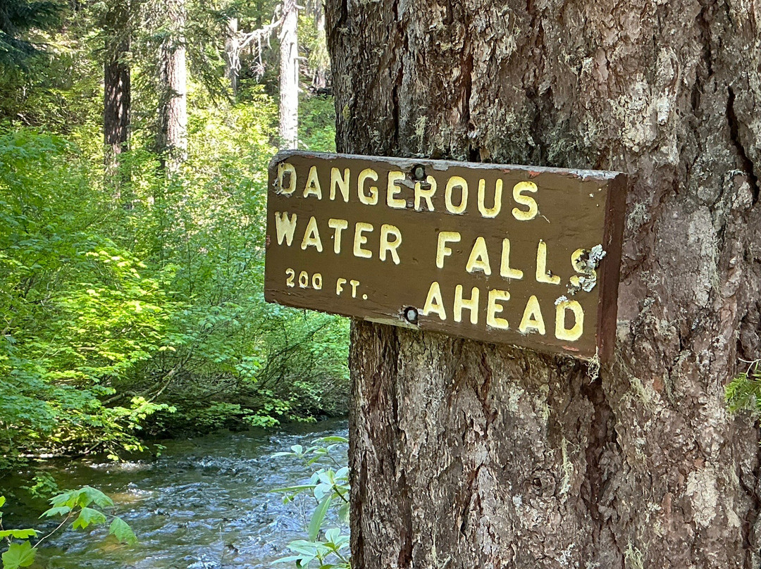 Salt Creek Falls-Oakridge必去景点