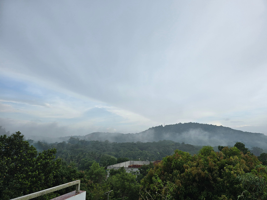 Indimasi - The Healing Village主图