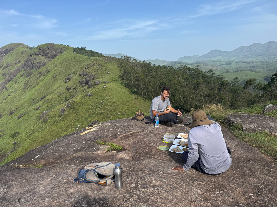 Munnar Trekking Adventure景点图片