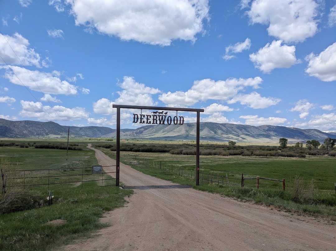 Deerwood Ranch Wild Horse EcoSanctuary景点图片