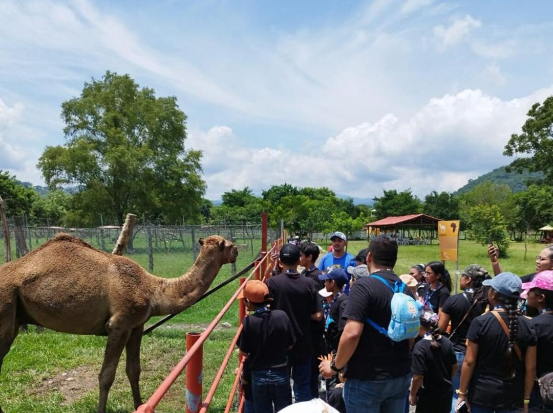 Granja Animalia-Xicotepec de Juarez必去景点