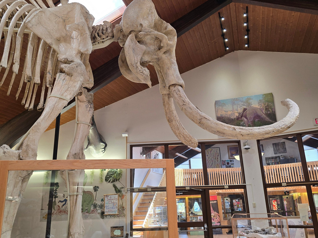 Tate Geological Museum-卡斯珀必去景点