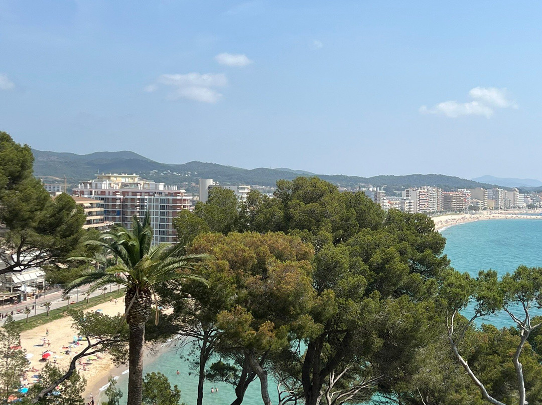 Platja de Sant Antoni景点图片
