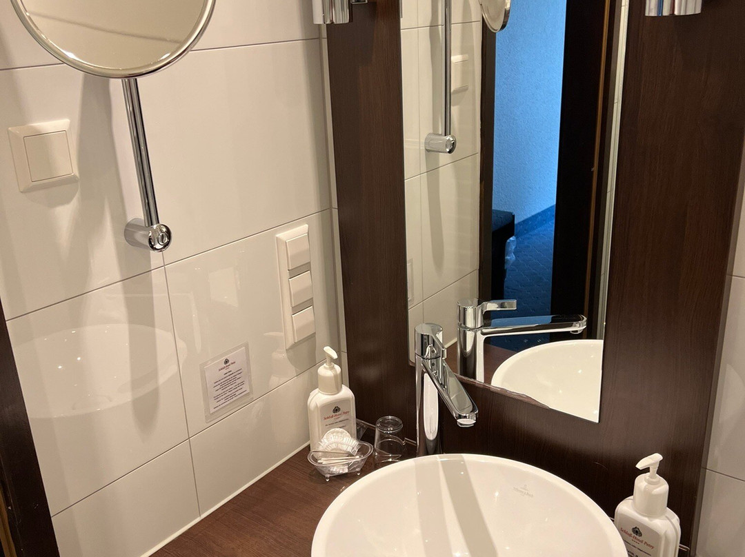 Schloß-hotel Petry主图