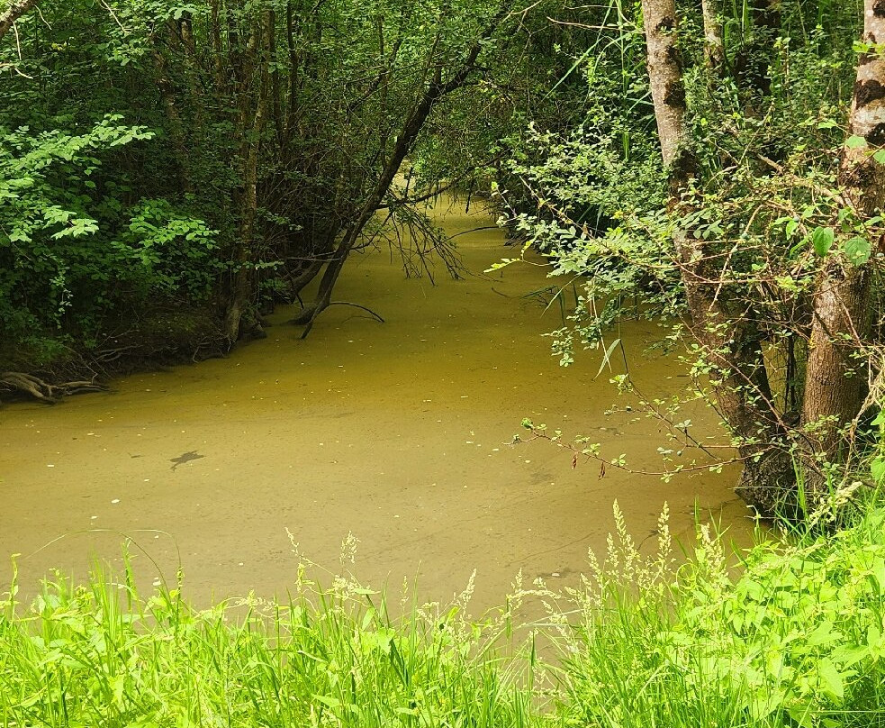 Réserve des Huttes-Nalliers必去景点