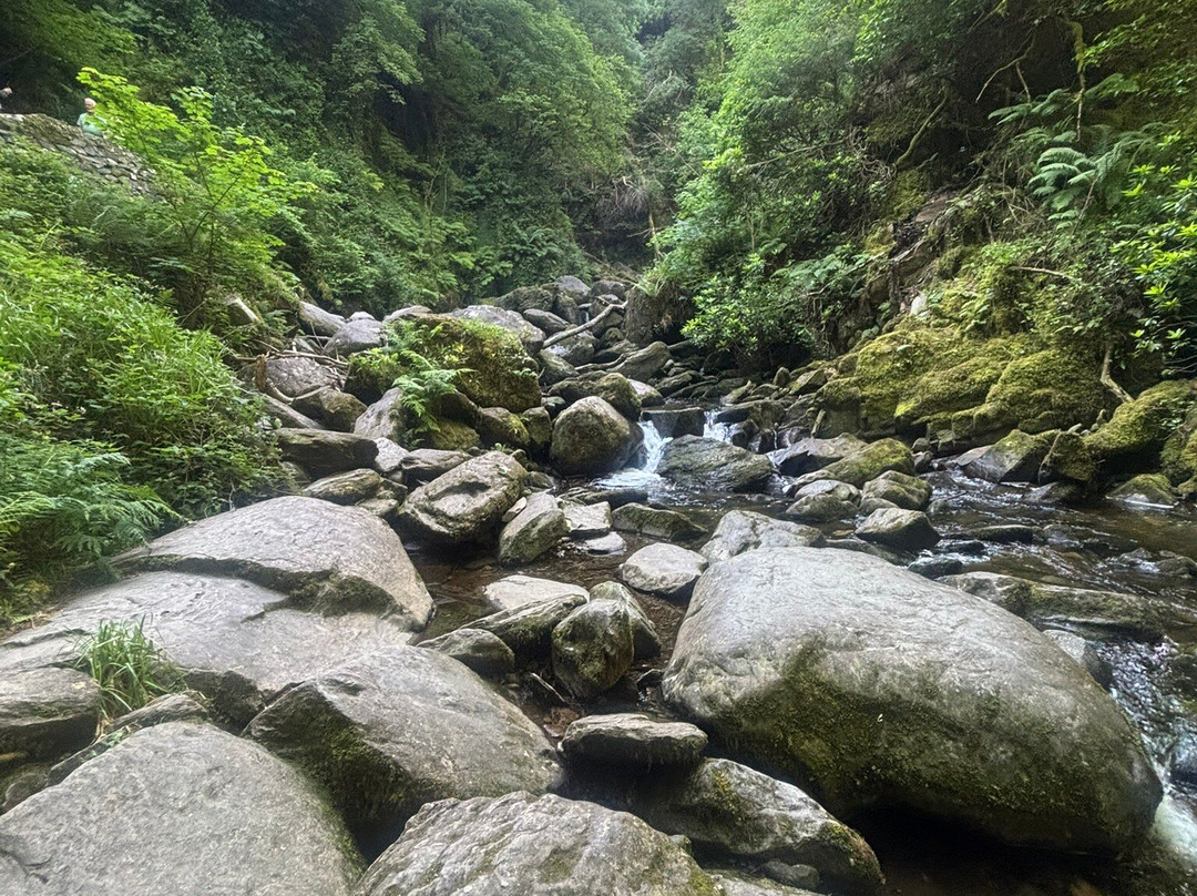 Torc Waterfall-基拉尼必去景点